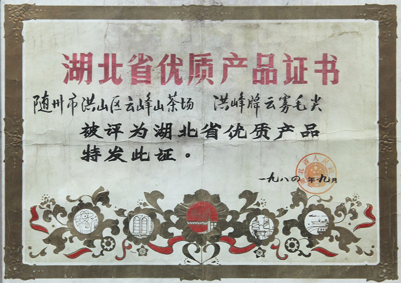 云雾毛尖优质产品