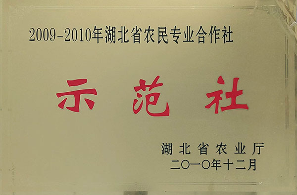 农民专业合作社示范社（2010.12）.jpg