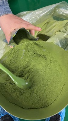 抹茶